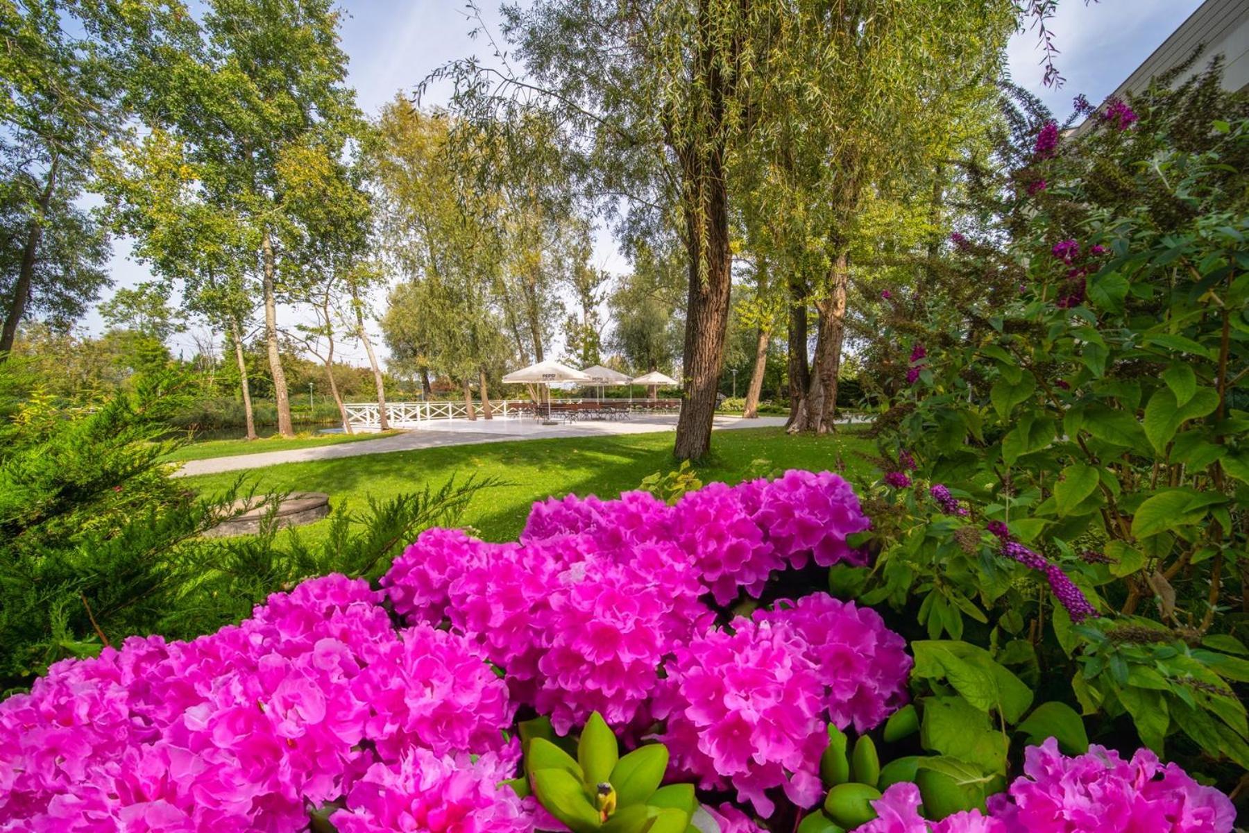 רשין Green Garden Hotel מראה חיצוני תמונה